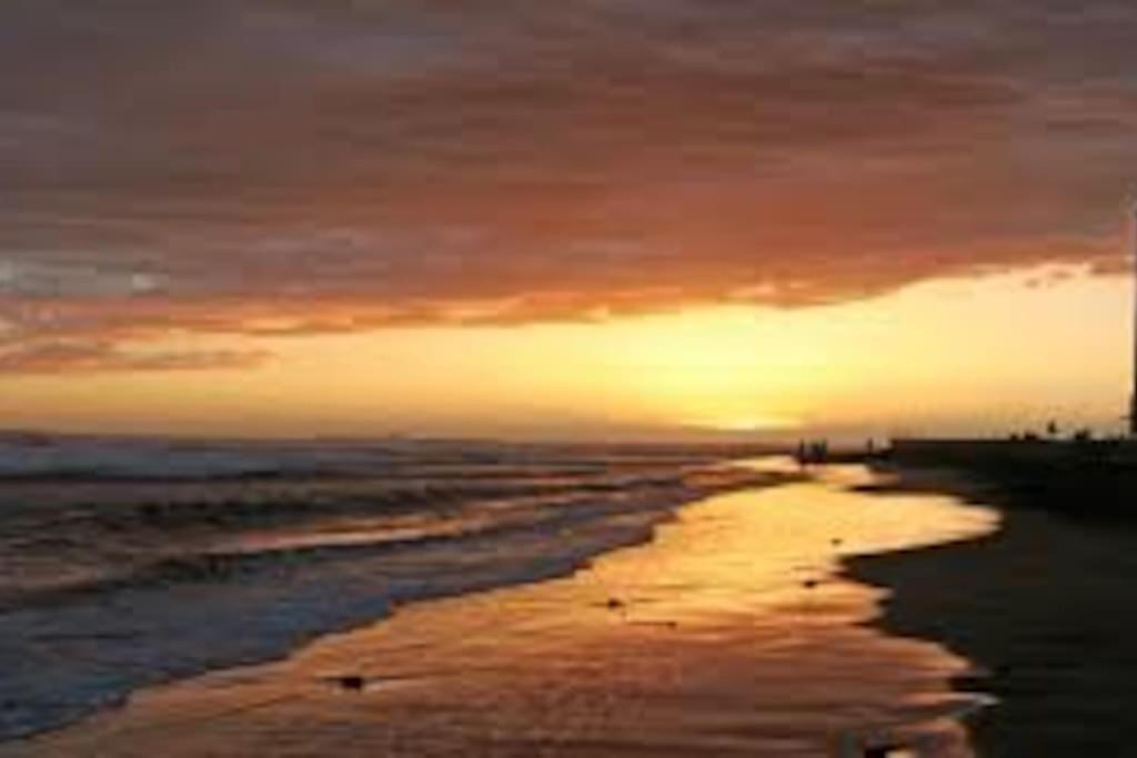 Precioso alojamiento con jardín Maspalomas (Gran Canaria) Exterior foto