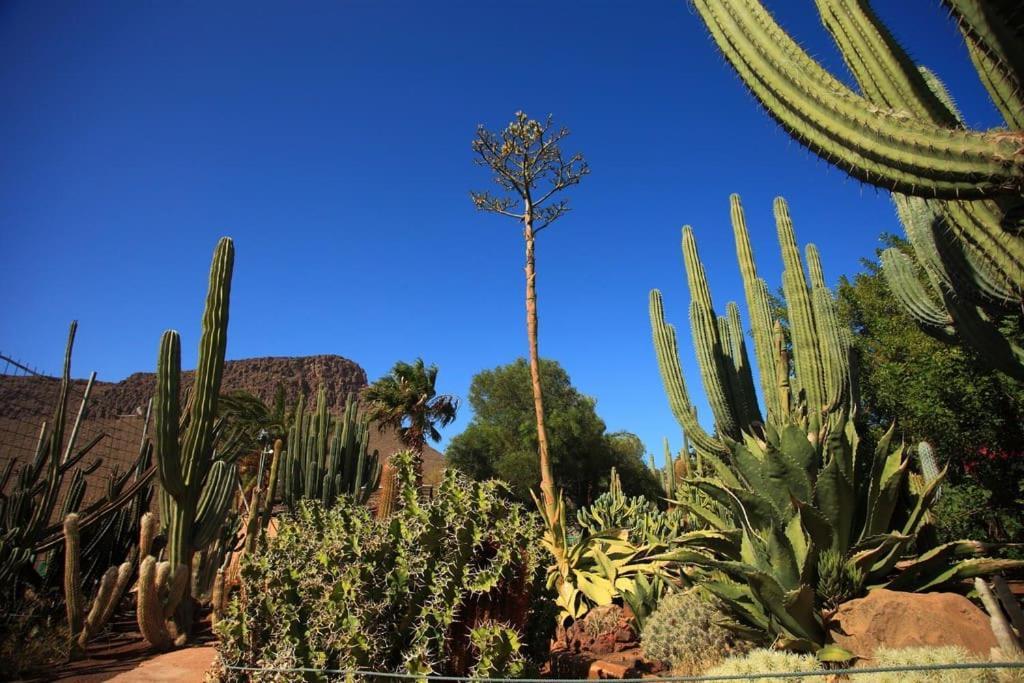 Precioso alojamiento con jardín Maspalomas (Gran Canaria) Exterior foto