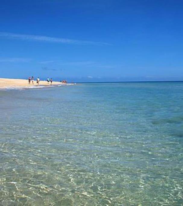 Precioso alojamiento con jardín Maspalomas (Gran Canaria) Exterior foto
